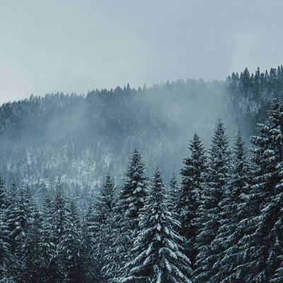 nisan ayında kazdağlarına gitmek