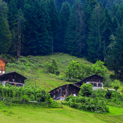 kış tatilinde ayder yaylası
